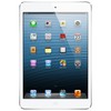 Apple iPad mini 16Gb Wi-Fi + Cellular белый - Аргун