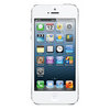Apple iPhone 5 16Gb white - Аргун